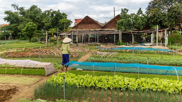 Độc đáo làng nghề gốm Thanh Hà ở Hội An