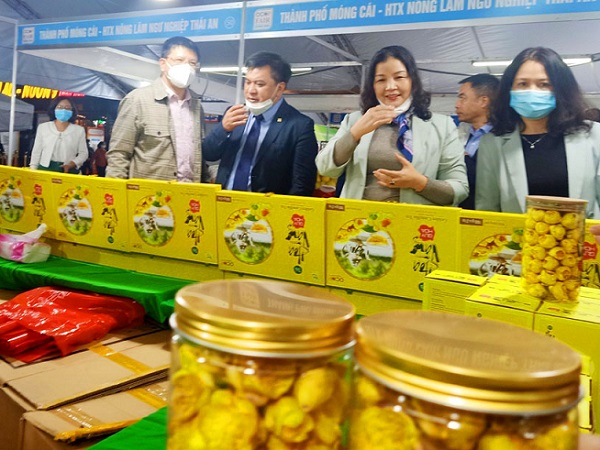 Trà hoa vàng Ba Chẽ được giới thiệu tại Tuần giới thiệu sản phẩm OCOP, sản phẩm thương hiệu tại Hà Nội