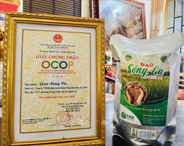 Gạo séng cù của Công ty Nông lâm thủy sản TNĐ - sản phẩm OCOP 3 sao tỉnh Yên Bái.