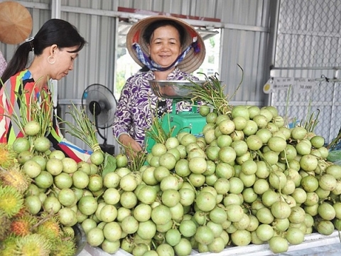 Cần Thơ: Phấn đấu có thêm 20-25 sản phẩm đạt chuẩn OCOP từ 3 sao trong năm 2022