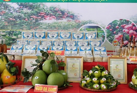 an giang to chuc phien cho cuoi tuan san pham ocop va dac san vung mien