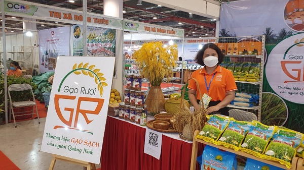 Sản phẩm OCOP gạo ruộng rươi của HTX đặc sản đồng rươi Đông Triều tham gia Hội chợ sản phẩm OCOP Quảng Ninh
