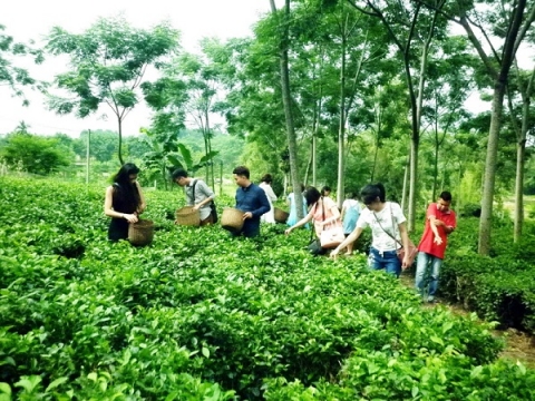 Phát triển du lịch nông thôn gắn với xây dựng nông thôn mới và OCOP giai đoạn 2021-2025
