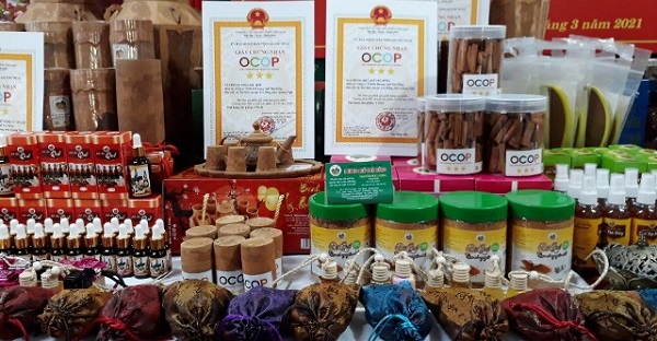 Phú Yên hiện có 27 sản phẩm được công nhận sản phẩm OCOP