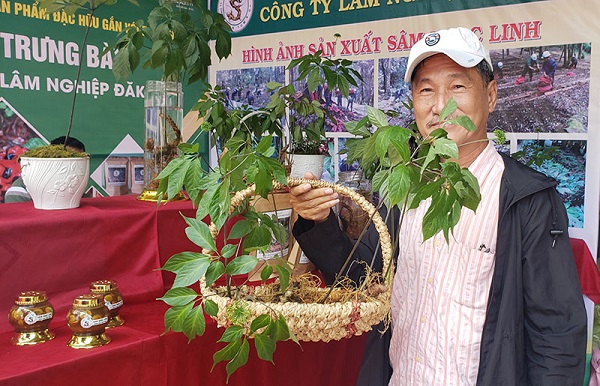 Người dân  Tu Mơ Rông, Kon Tum tự hào về sản phẩm sâm Ngọc Linh