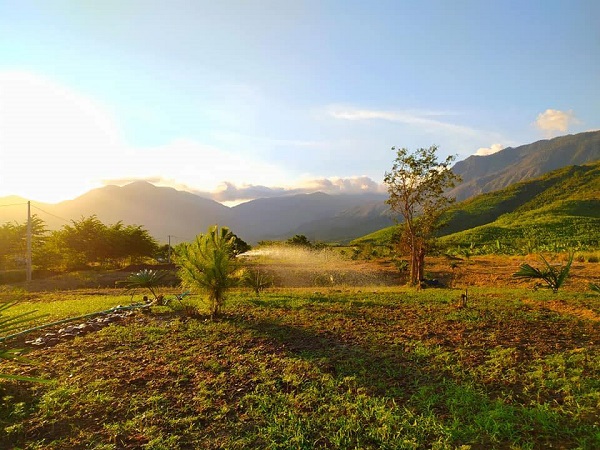 The Moshav Farm chọn hướng làm nông nghiệp theo hướng hữu cơ kết hợp với du lịch Khánh Hòa