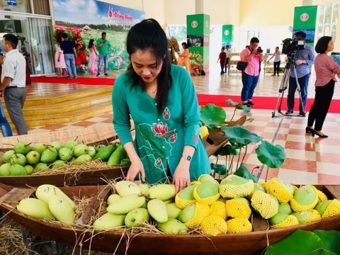 dong thap tuan le xoai cao lanh giup nong dan day manh tieu thu qua mang