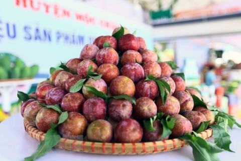 Triển lãm "Ảnh đẹp về trái cây” và quảng bá sản phẩm OCOP quy mô toàn quốc