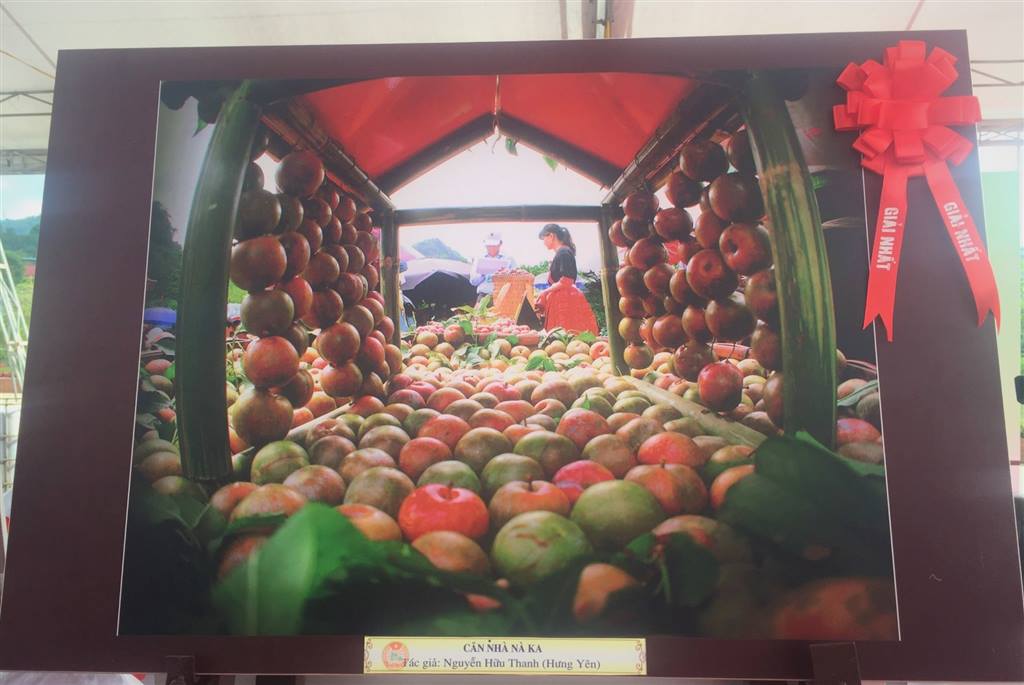 Tác phẩm đoạt giải nhất tại Triển lãm Ảnh đẹp về trái cây