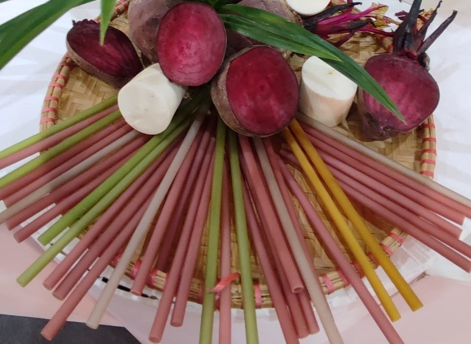 HTX Nông nghiệp Sông Hồng - Hưởng ứng “sống xanh” với ống hút rau củ