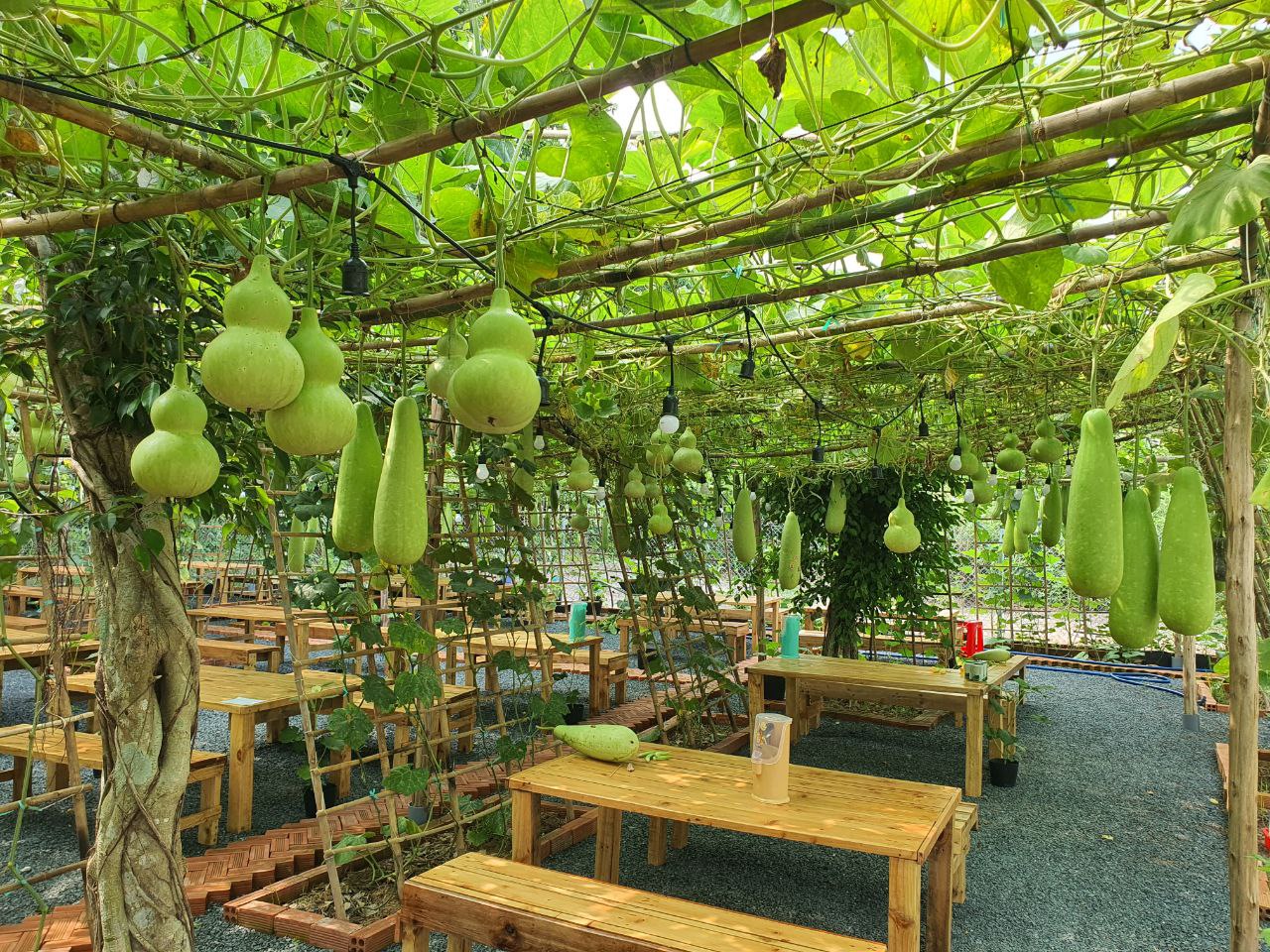 Hồ Lô quán : Mô hình kinh doanh kết hợp với nông nghiệp xanh