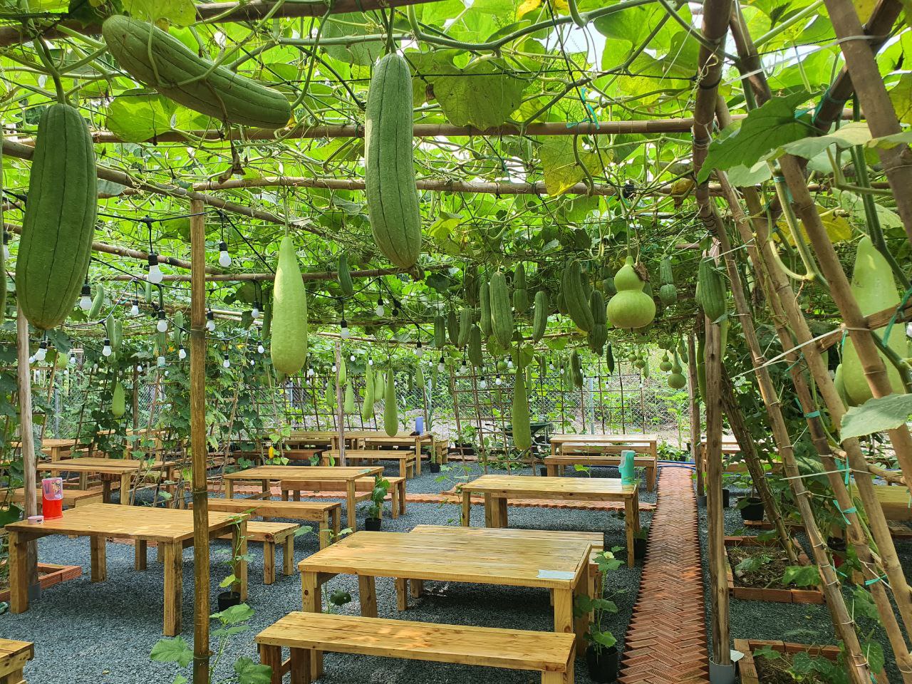 Hồ Lô quán : Mô hình kinh doanh kết hợp với nông nghiệp xanh