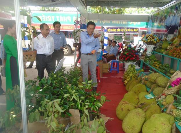 Hội chợ  trái cây và hàng nông sản Bình Phước năm 2022 quy tụ sự tham gia của 200 gian hàng