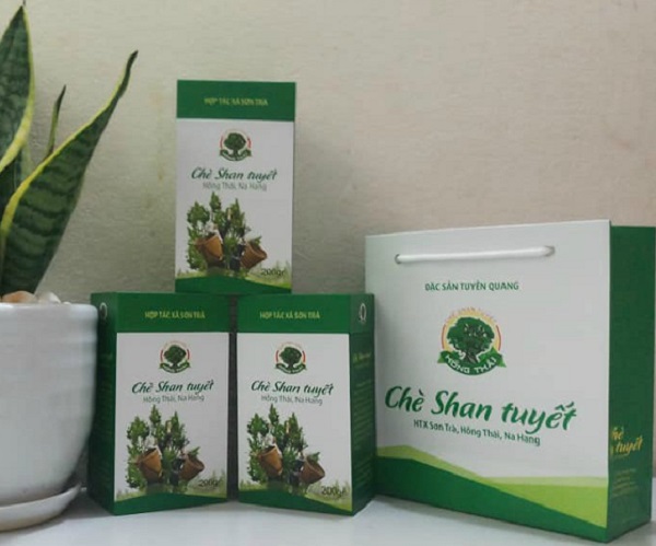 Chè Shan tuyết - một trong các sản phẩm OCOP được đánh giá 4 sao của tỉnh Tuyên Quang