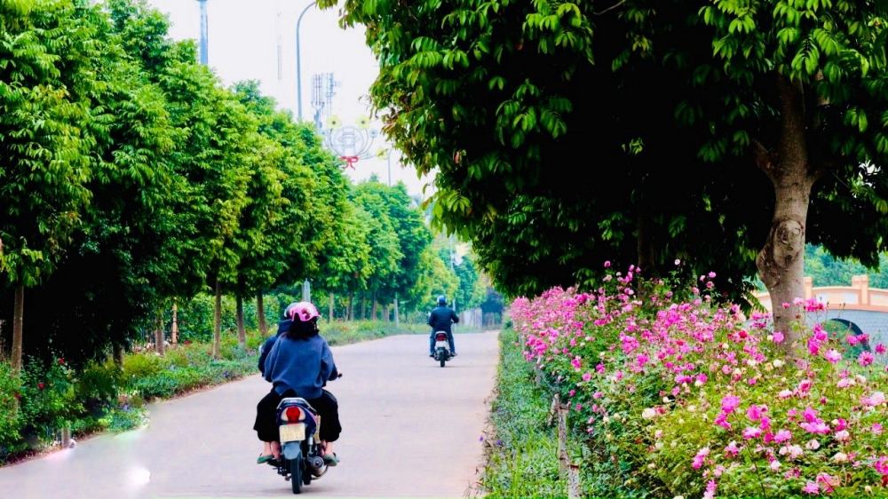 đường hoa nông thôn mới ở xã Yên Mỹ là một trong những điểm nhấn níu chân nhiều du khách...