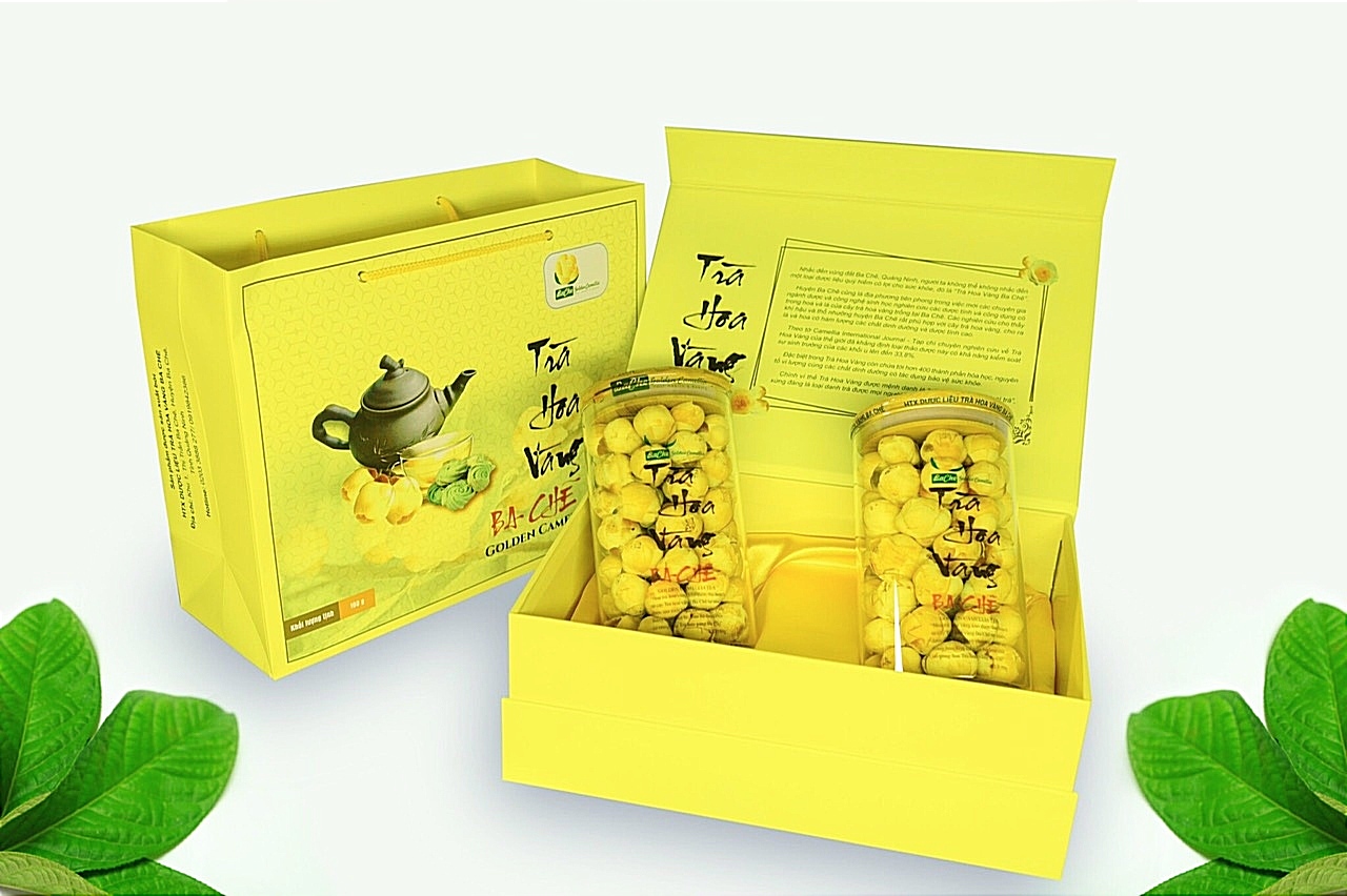 . Sơ chế, phân loại trà hoa vàng tại HTX dược liệu trà hoa vàng Ba Chẽ