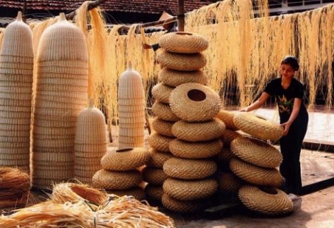 Chương trình OCOP phải