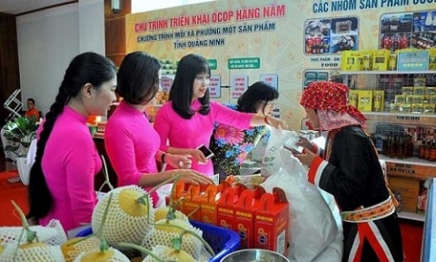Quảng Ninh: Giữ uy tín, thương hiệu sản phẩm OCOP