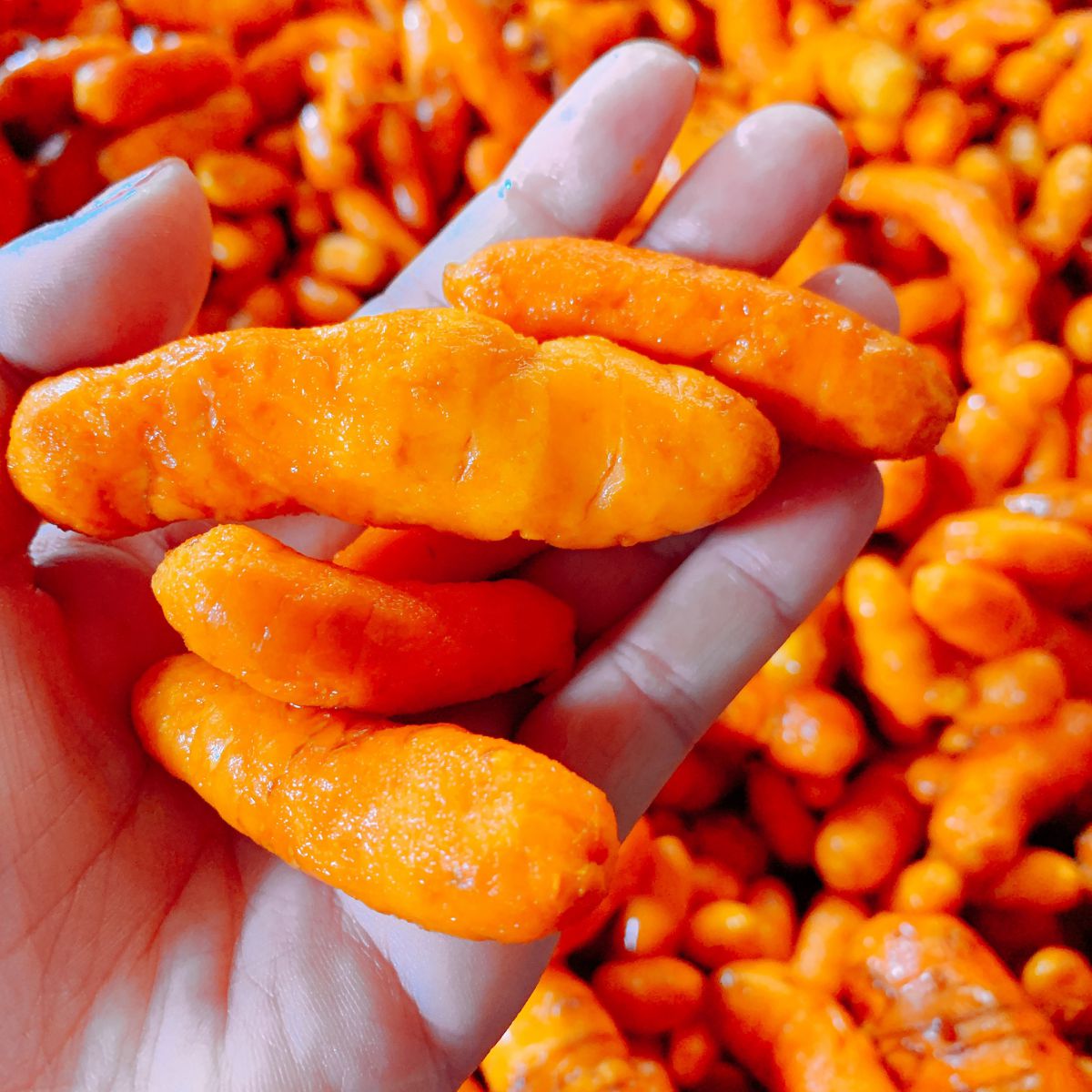 Bac Kan: Red Turmeric - Support highland workers to sustainably escape pov-erty.