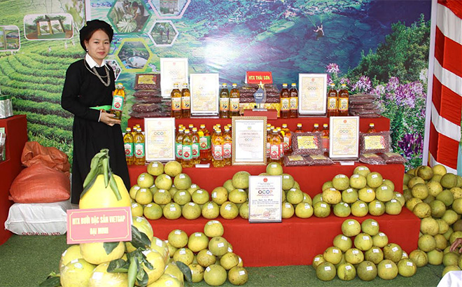 Các sản phẩm OCOP tỉnh Yên Bái được tự hào giới thiệu tại nhiều sự kiện trong và ngoài tỉnh.