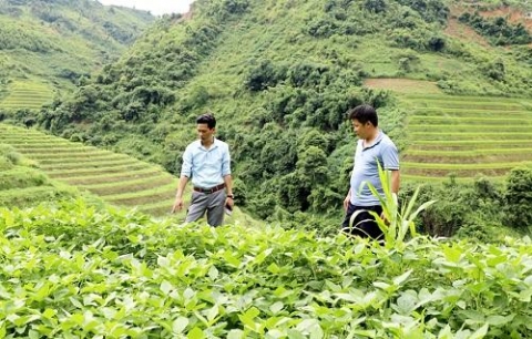 Hà Giang: Nhiều sản phẩm đặc trưng ở Bắc Mê chưa tìm được hướng đi