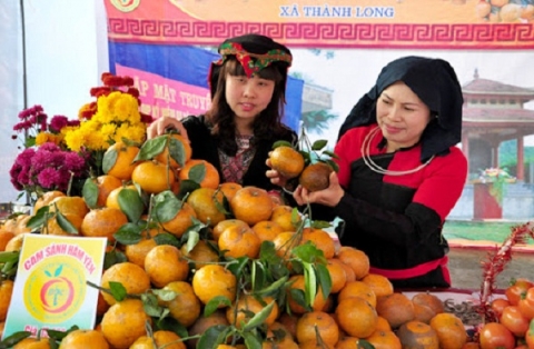 OCOP Tuyên Quang đánh thức tiềm năng sản vật địa phương