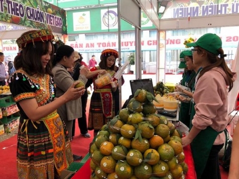 OCOP Hà Giang: Xây dựng thương hiệu sản phẩm mang đặc trưng vùng miền