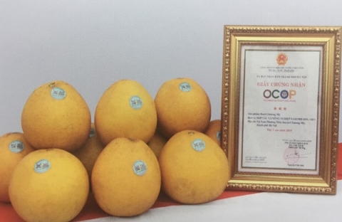 OCOP: Tăng doanh thu cho sản phẩm