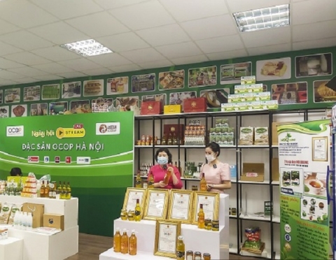 Hà Nội tôn vinh 424 sản phẩm OCOP cấp thành phố