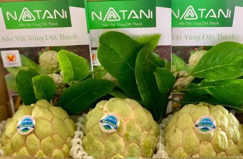 Tây Ninh: Đánh giá, xếp hạng sản phẩm OCOP năm 2021