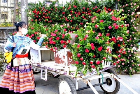 bac ha lao cai tung bung le hoi mua dong vu dieu cao nguyen trang