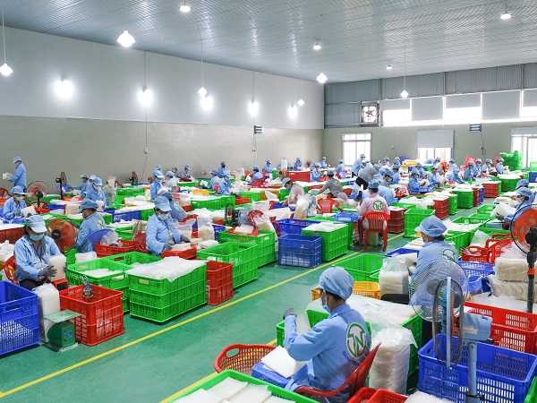 Cở sở sản xuất bánh tráng siêu mỏng Tân Nhiên giải quyết việc làm cho nhiều lao động tỉnh Tây Ninh