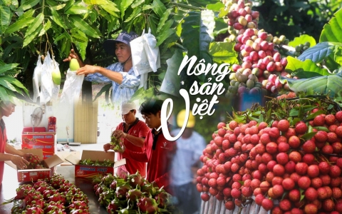 Chương trình Tự hào nông sản Việt – Nơi hội tụ hiều sản phẩm đặc sản vùng miền
