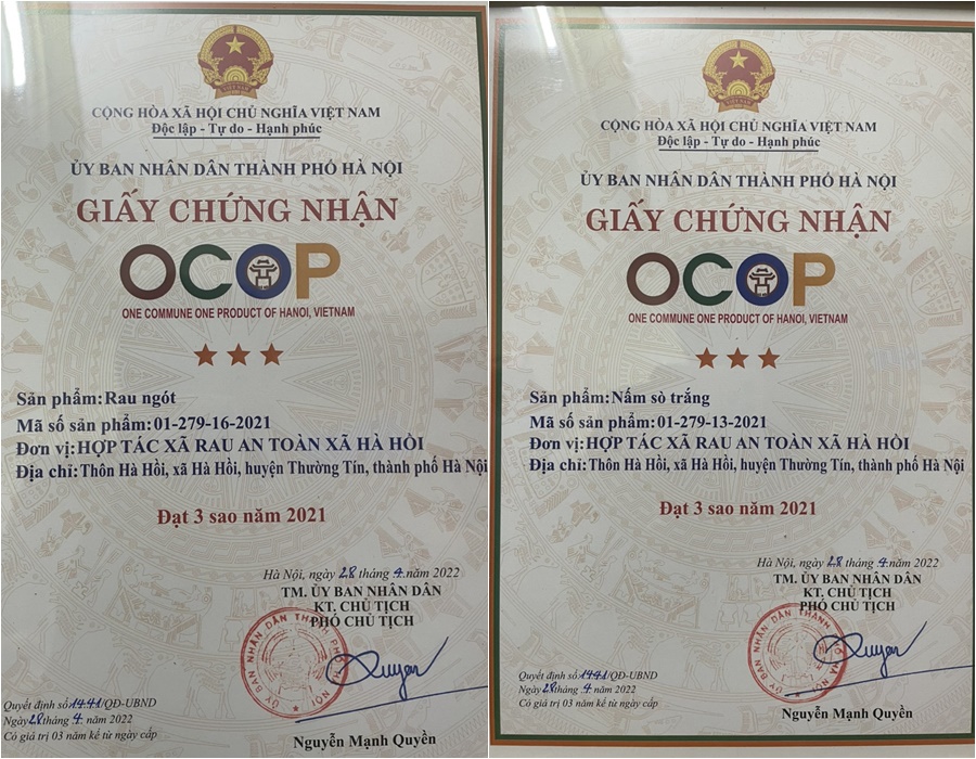 Năm 2021, HTX rau an toàn xã Hà Hồi có 8 sản phẩm đạt chứng nhận Ocop 3 sao.