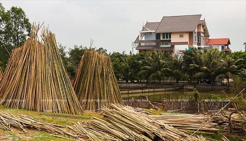 may tre dan xuan lai noi luu giu hon tre viet